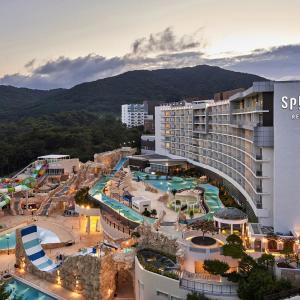 |충남 호텔| 스플라스 리솜(덕산) (예산홍성)