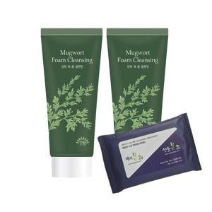 (1+1)에인 강화 쑥 폼 클렌징100ml X 2개 + 물티슈/노폐물 피지 제거/27년10월까지