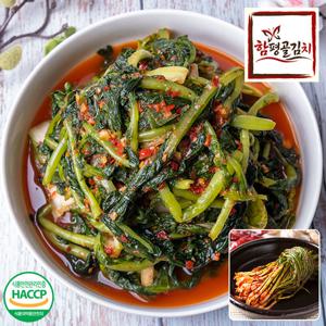 [함평골김치] 감칠맛이 풍부한 전라도 열무김치3kg+파김치2kg