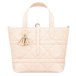 디올 Dior Toujours 스몰 버티컬 토트백 M2835OSNW_M71U