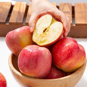 [미식한가] 경북 홍로 못난이 꿀사과 2kg 7-9과