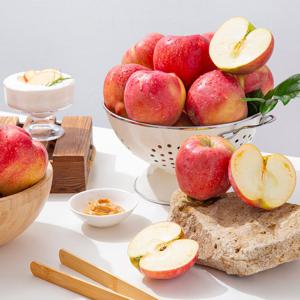 [미식한가] 경북 홍로 못난이 꿀사과 3kg 10-14과