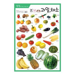 유니콘 단면 코팅 유아 학습 벽보 과일 채소