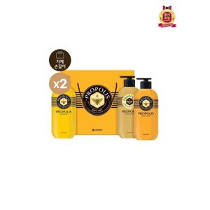 [LG생활건강 선물세트]LG설선물세트 프로폴리스 올타임 헤어바디