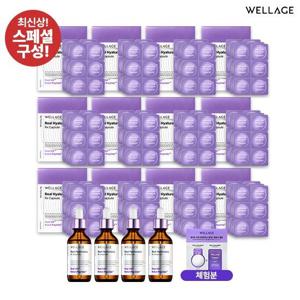 NEW 최신상 웰라쥬 캡슐 앰플 시즌4 라벤더패키지
