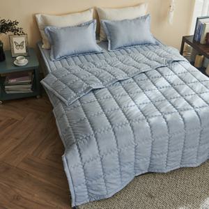 [르헤브] 클로젯 고밀도 피치스킨 사계절 이불패드세트SS