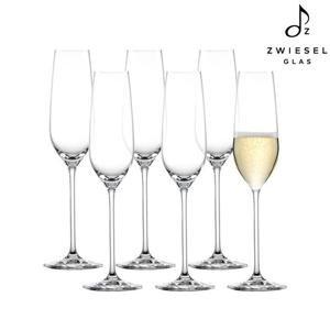 [쇼트즈위젤]포르티시모 샴페인잔 (240ml) 6p