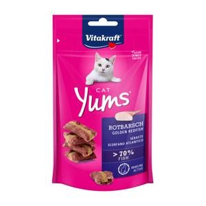 비타크래프트 캣얌 골든레드피쉬 40g