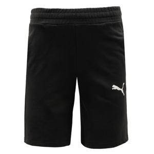 푸마 팀골 캐쥬얼 쇼트 ASIA SP(65939203)