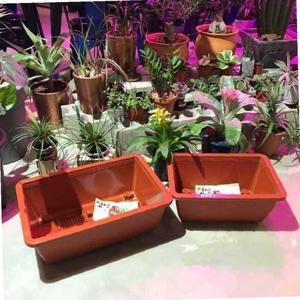 베란다텃밭 화분(바퀴이동형)3호(68x46cm)