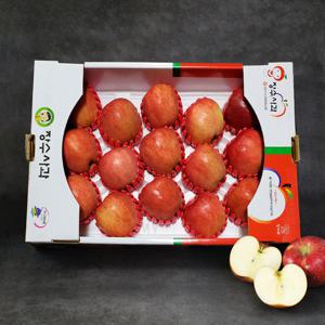 프리미엄 사과 선물세트 2호/5kg내외(15-16과)