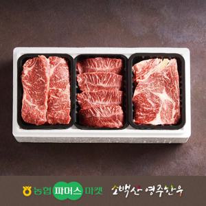[농협영주한우]실속가족1+등급구이세트5호등심/채끝/특수부위