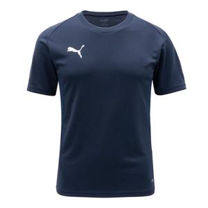 푸마 팀골 저지 ASIA SP(65940306)