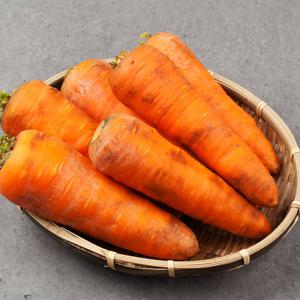 [잇츠푸드] 제주 구좌 흙 당근 5kg(중)