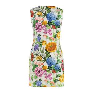돌체앤가바나 플로럴 프린트 코튼 원피스 F6K0BTFSFOA HA5KU