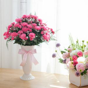 카네이션 성묘 화분 조화 꽃 대형 set 60cm (DIY) 납골당 산소 추모 테이블