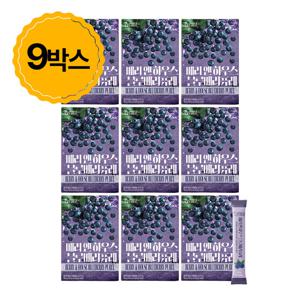 [베리앤하우스] 블루베리 퓨레 9box