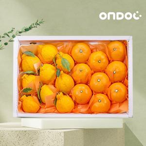 [온도씨]제주 만감류 혼합선물세트 한라봉+천혜향 2.5kg 중과(10-12과 내외)