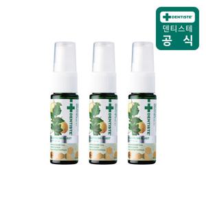 [5%더블]덴티스테 마일드 후레쉬 블라스트 마우스 스프레이 15ml 3개