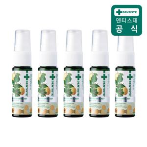 [5%더블]덴티스테 마일드 후레쉬 블라스트 마우스 스프레이 15ml 5개