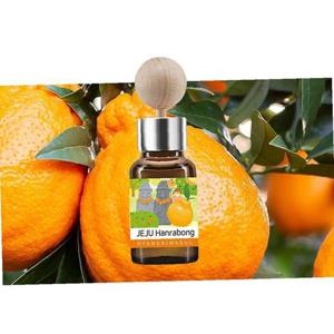 차량용 에어컨 디퓨저 제주한라봉 17ml