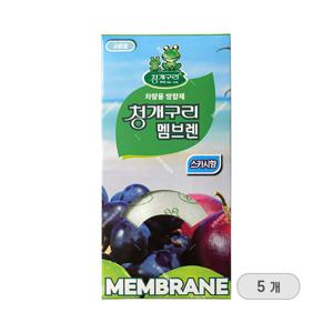 청개구리 멤브렌 차량용 방향제 스카시향 5P