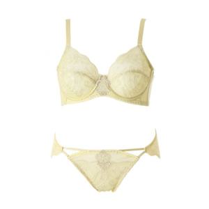 (비너스) 브라1+팬티2 F컵 오르화 엔젤망 홀겹브라+망사팬티-[OBR7867F/OPT7867S2]