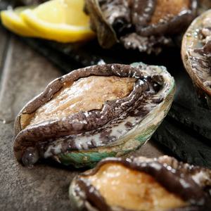 [완도직송] 더 싱싱한 완도 활전복 1kg (22-25미)