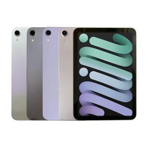 (재고)애플 아이패드 미니6세대 64GB WiFi 8.3인치 관부가세포함