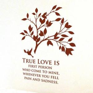 아트박스/디자인베이 디테일가지 (완제품A타입) 그래픽스티커