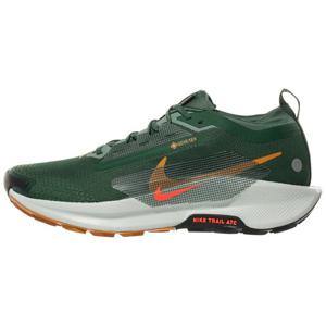 나이키 페가수스 트레일 5 GTX Fir/브라이트 크림슨 FQ0908-301