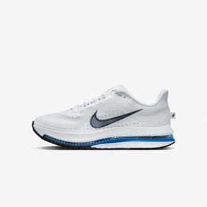 [나이키]나이키운동화 HQS HQ2592-104 페가수스 프리미엄