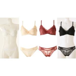 [비너스] 오르화 데이지 레이스 브라CD컵+티팬티 세트 4종택1 [OBR5941C_D OPT5941T]