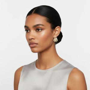 DIOR 25FW TRIBALES 귀걸이 (E4366WOMCY 319)