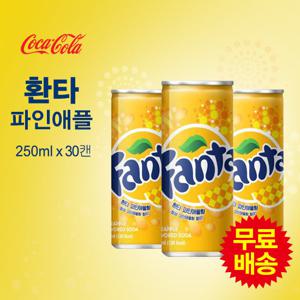 [코카콜라] 환타 파인애플(250mlx30캔)