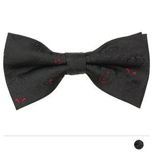 블랙 페이즐리 보타이