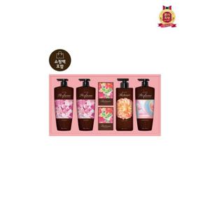 [LG생활건강 선물세트]LG설선물세트 샴푸&바디프리미엄퍼퓸컬렉