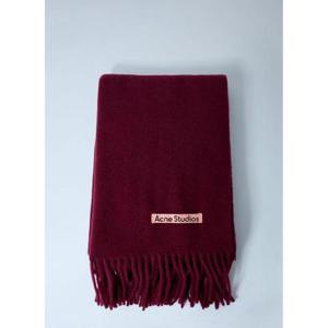 25 FW 아크네 남성 프린지 울 스카프 acn0162031bur