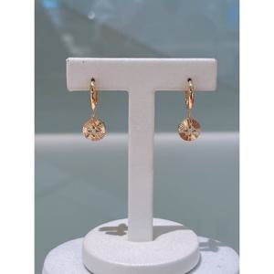미니골드 14K [DIA-랩 1.4][매그놀리아]레이디얼 컷팅 드롭 귀걸이 ELKS4196L