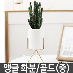 화병 화분 식물 인테리어 다육이 도자기 미니 화병 골드 중