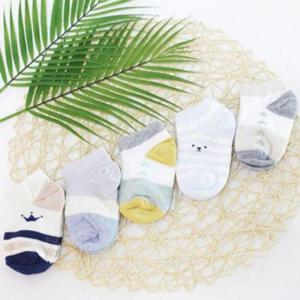 유아아동 j카이망사커즈 5족세트 남아여아 발목망사양말 아동