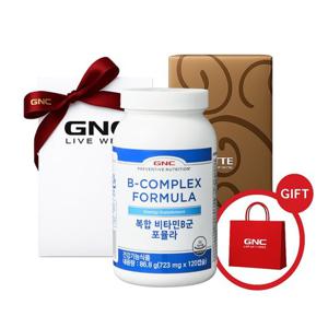[지앤씨][GNC] 복합비타민 B군 포뮬라(120캡슐)