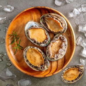 [작심밀도]산지직송 청해 완도 활전복 4호/ 대 1kg (12-13미)