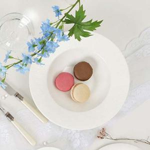 티니블랑 베일 스타일 도자기 파스타볼 25.5cm 고품질