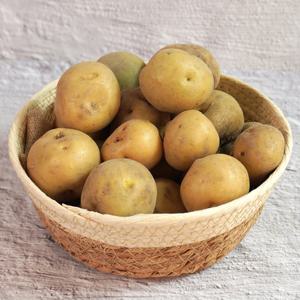 [더조은] 해남 산지직송 수미감자 중 3kg (50-70g 내외)