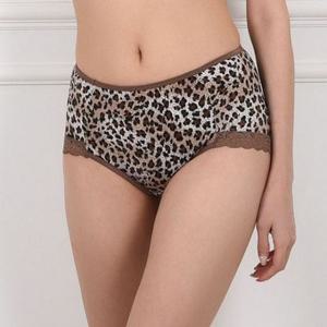 호피 레이스 꿀땡 맥시팬티 하루종일 노라인 레이스팬