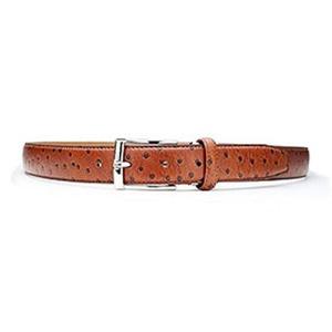 아트박스/티지스톤 TZ1D102LB 클래식 타조패턴 연브라운벨트