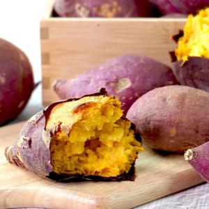 [미식한가] 호풍미 호박고구마 5kg 특상 (100-300g)