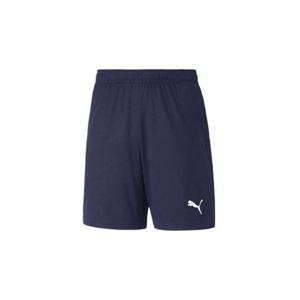 푸마 팀골 트레이닝 쇼츠 아시안핏(65940906) 반바지 65940906 253518