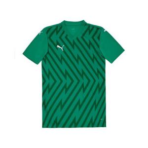 푸마 팀글로리 저지(70574005) 반팔티셔츠 70574005 253647